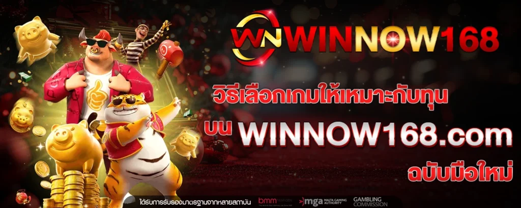 WINNOW168 com